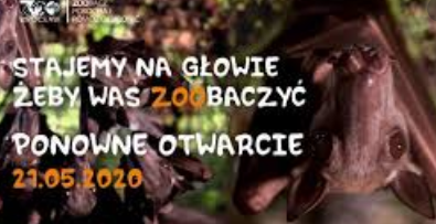 motogłowe