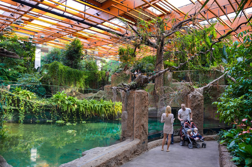 Afrykarium, ZOO-Wroclaw,
