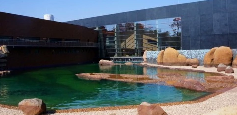 Afrykarium