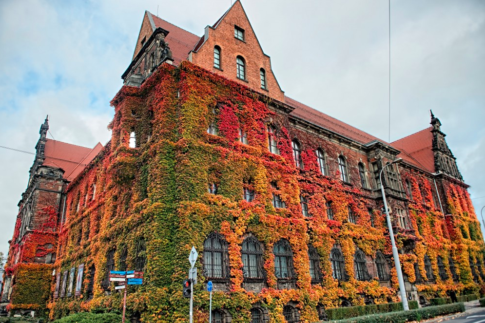 Wrocław-muzeum