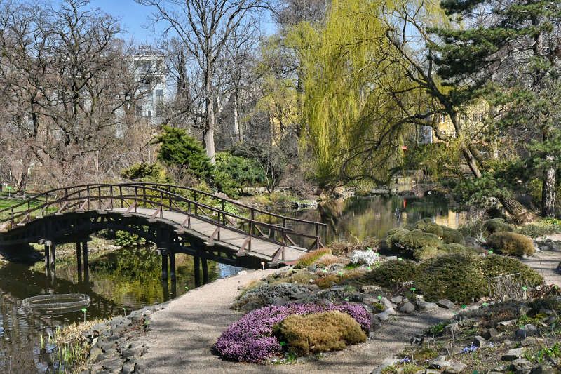 https://www.ogrodbotaniczny.wroclaw.pl/dzialy.html