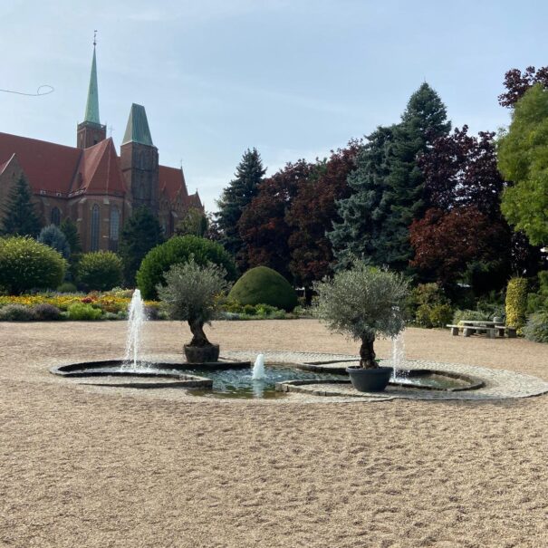 Zdjęcie WhatsApp 2024-09-01 o 17.50.01_9af8c558