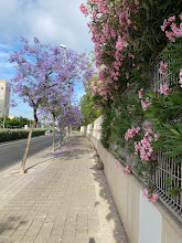 aa