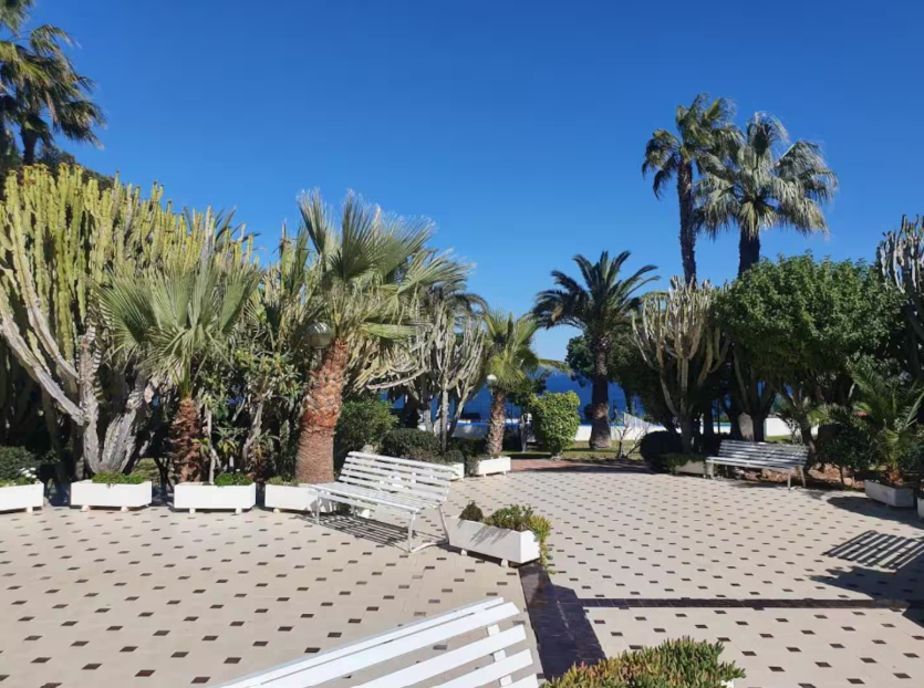 AriaSpot Alicante