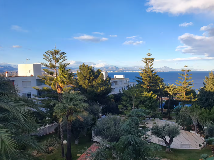 AriaSpot Alicante